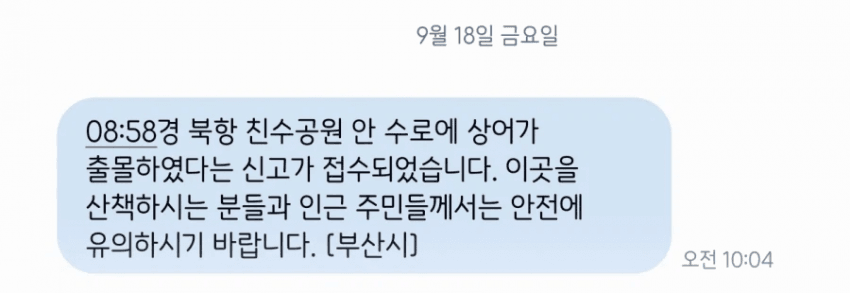 부산 북항에 3~4m길이 상어 출몰ㄷㄷ (3)