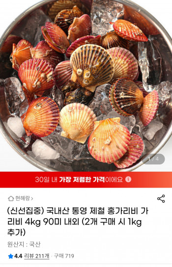 [지마켓] 국내산 통영 제철 홍가리비 4kg (9,000원 / 무료배송)