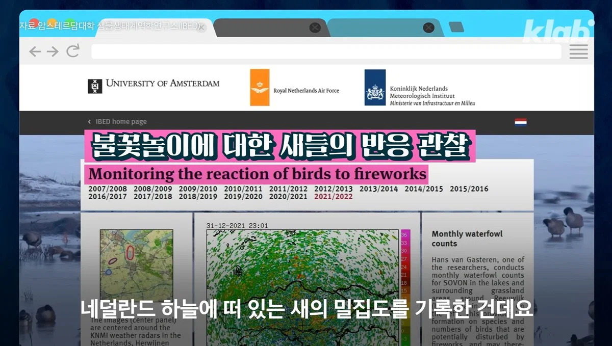 새들에겐 거의 전쟁난 수준이라는 불꽃축제 (23)