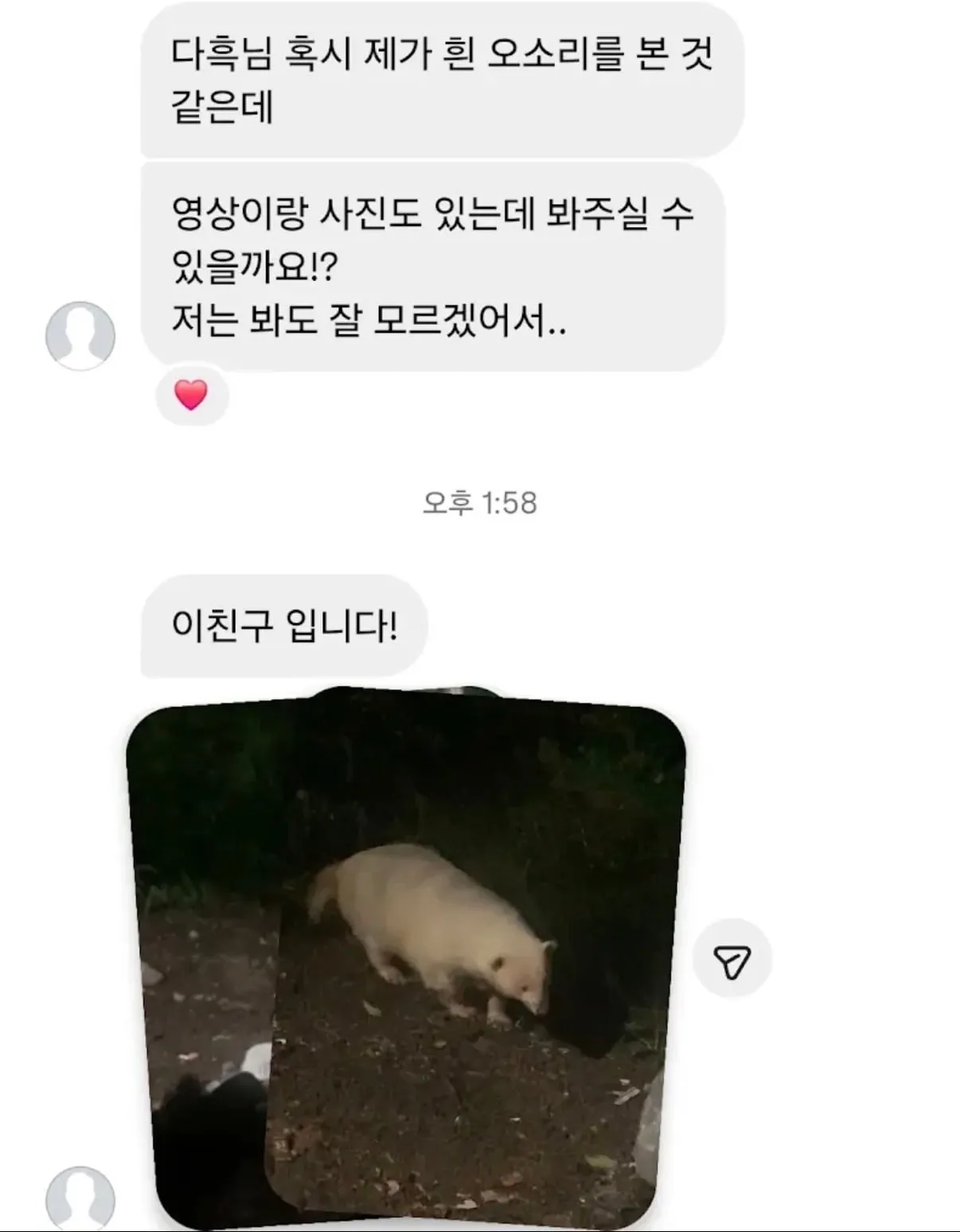 초희귀동물 제보를 받은 유튜버ㄷㄷㄷㄷ