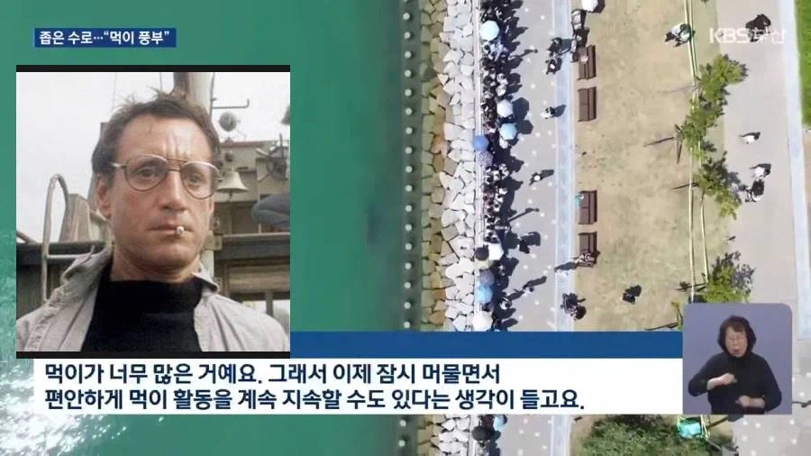 북항 상어에 우려를 표시하는 외국 전문가