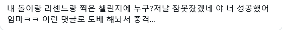 다른 아이돌 팬덤 긁는 리센느 일부 팬들 (4)