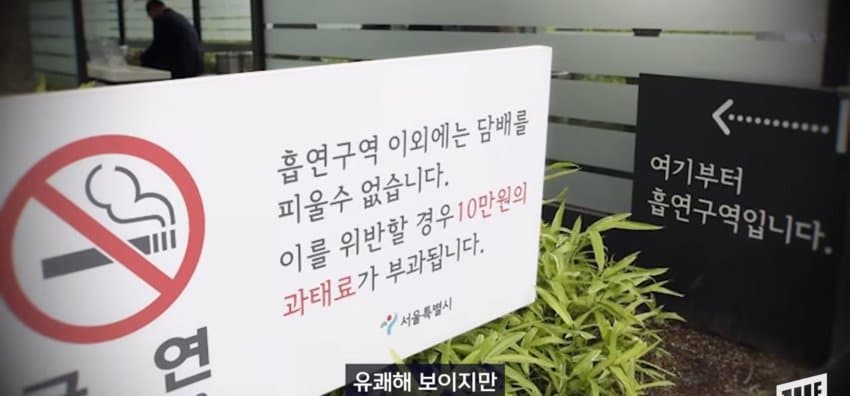 광화문 일대에 나타난, 코 막은 조선 왕 정체 (17)