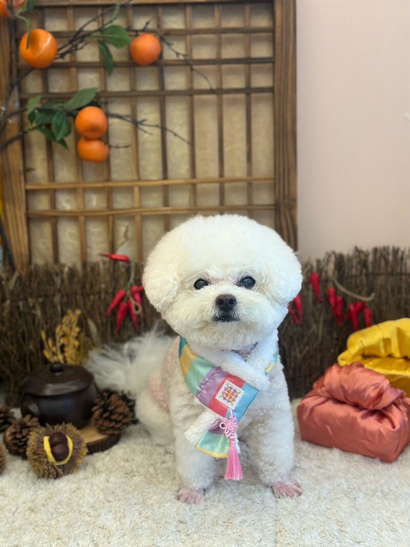 즐거운 추석 보내세요 (3)