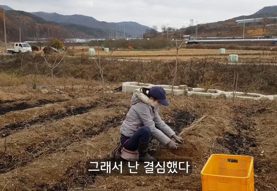 휴식을 위해 '귀촌'을 한 사람들이 깨닫게 되는 현실 (11)