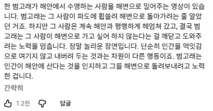 비명지르는 아이들에게 다가오는 야생범고래 (3)