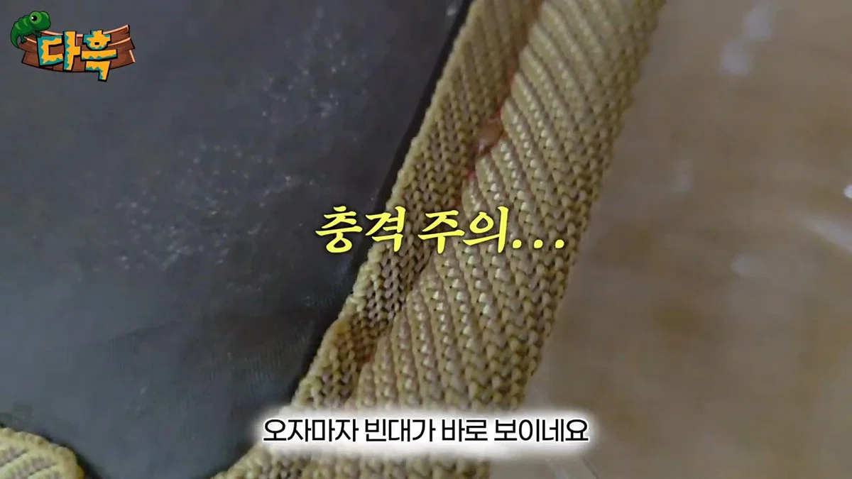 부산 찜질방 빈대 이슈 업로드한 유튜버 다흑... (10)