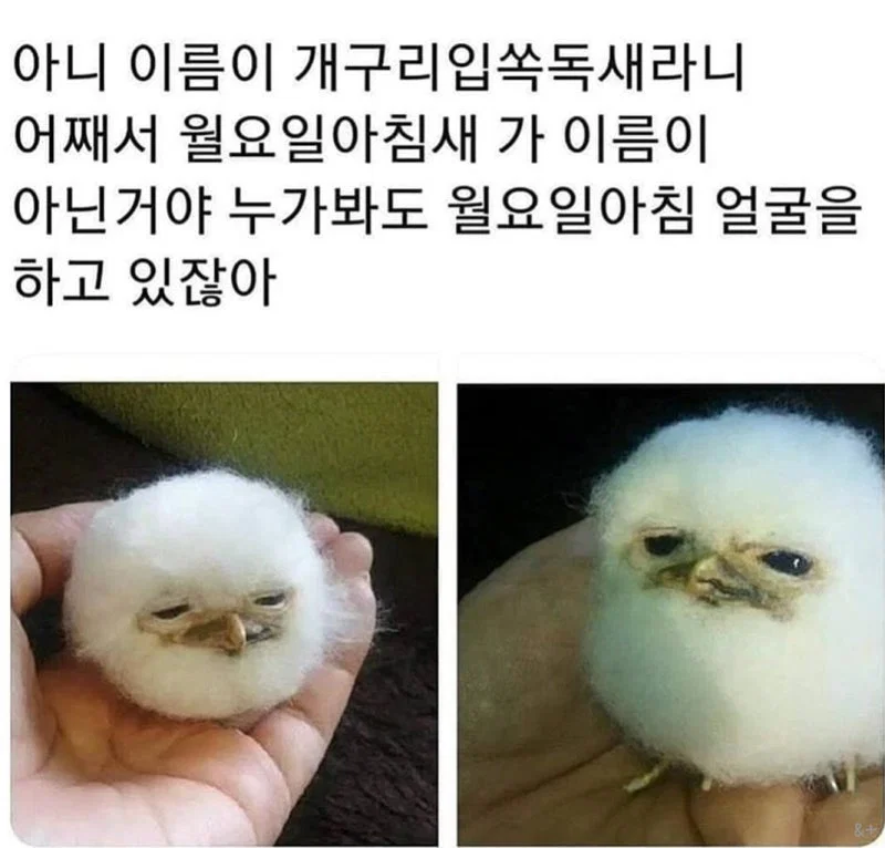 QheghJ