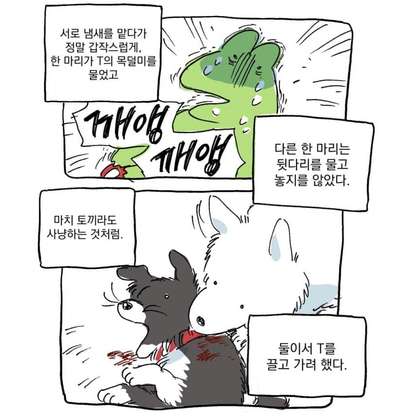싱글벙글 개물림 사고 겪은 썰.manhwa (6)