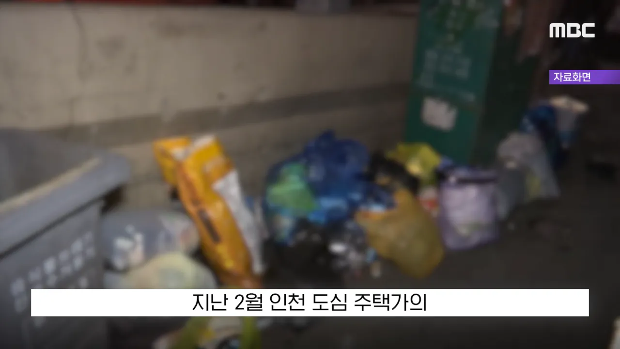 싱글벙글 현금 2천5백만원을 주웠다 당장 경찰서 가야되는 이유