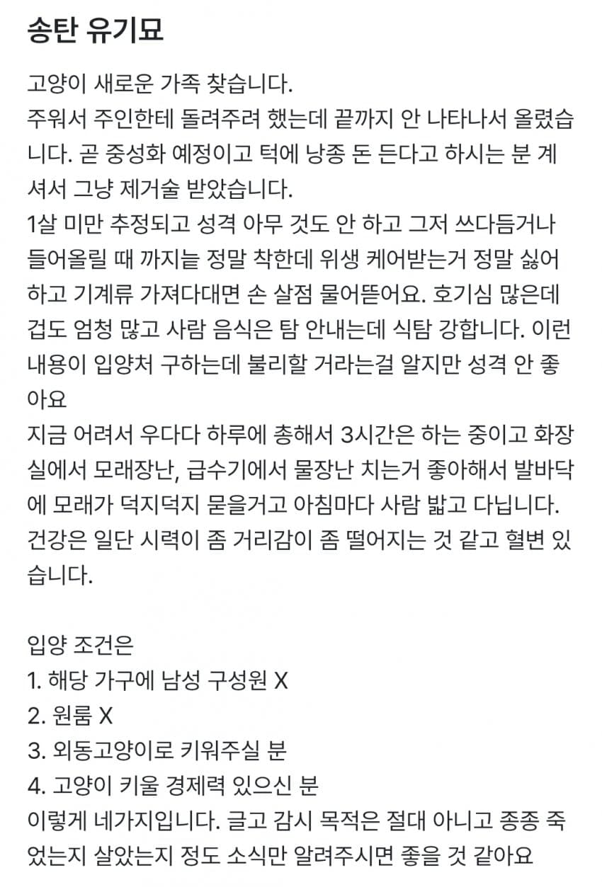 길고양이 주우면 안되는 이유 (6)