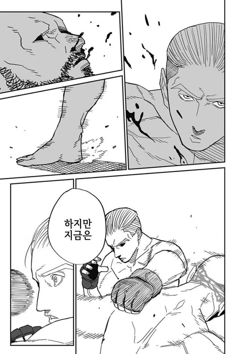 최강이라 불리던 격투가 만화 (114)