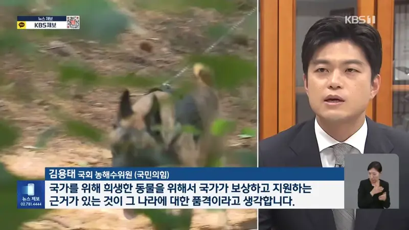 국가 위해 헌신한 퇴역견…은퇴 후 관리는 ‘나몰라라’ (8)