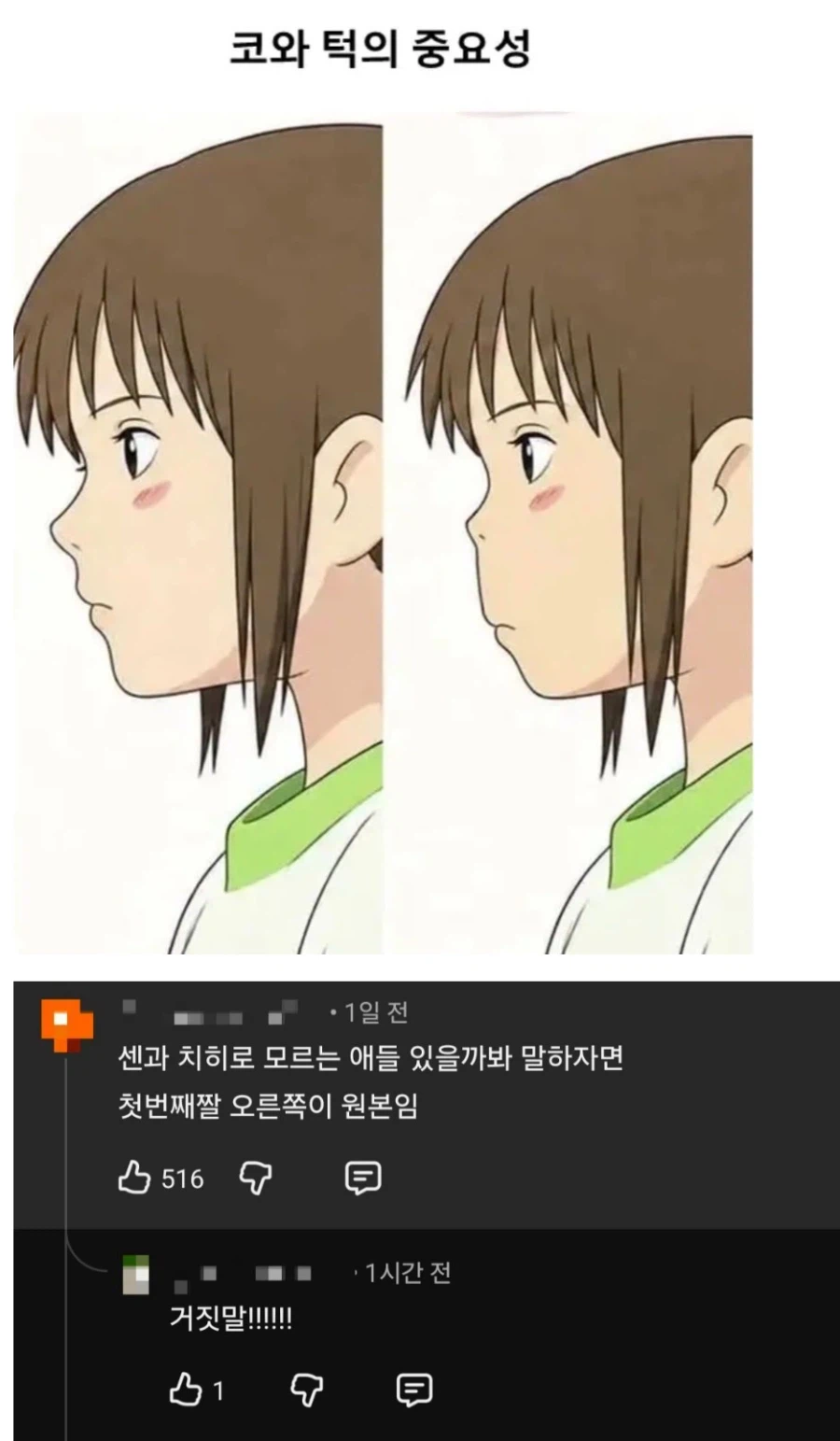 턱 과 코의 중요성 jpg
