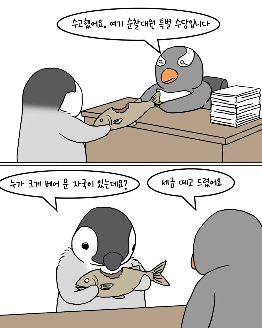 야간 순찰대를 운영하는 남극 펭귄들.manwha (9)