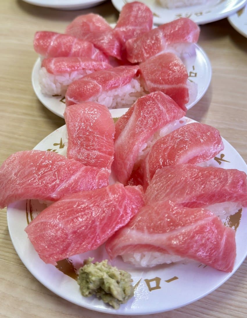 밥 ㅈㄴ 먹는 일본 주갤러 근황.. (18)