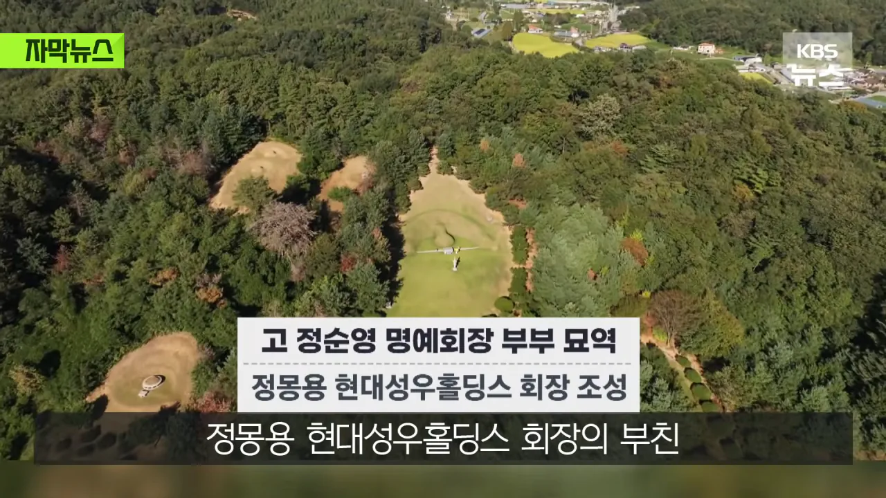 명당 차지한 범현대가 2세들…취재가 시작되자 "시정하겠다" (15)