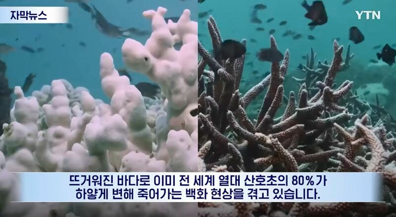 붕괴까지 앞으로 3년 밖에 안 남았다...재앙급 예고 (2)