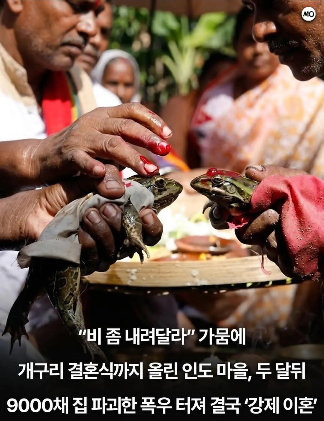비 좀 내려주세요.jpg