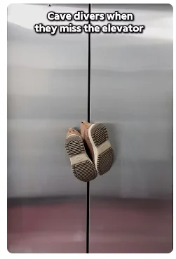 서양에서 진짜 개병신같다고 욕먹었던 취미 (5)
