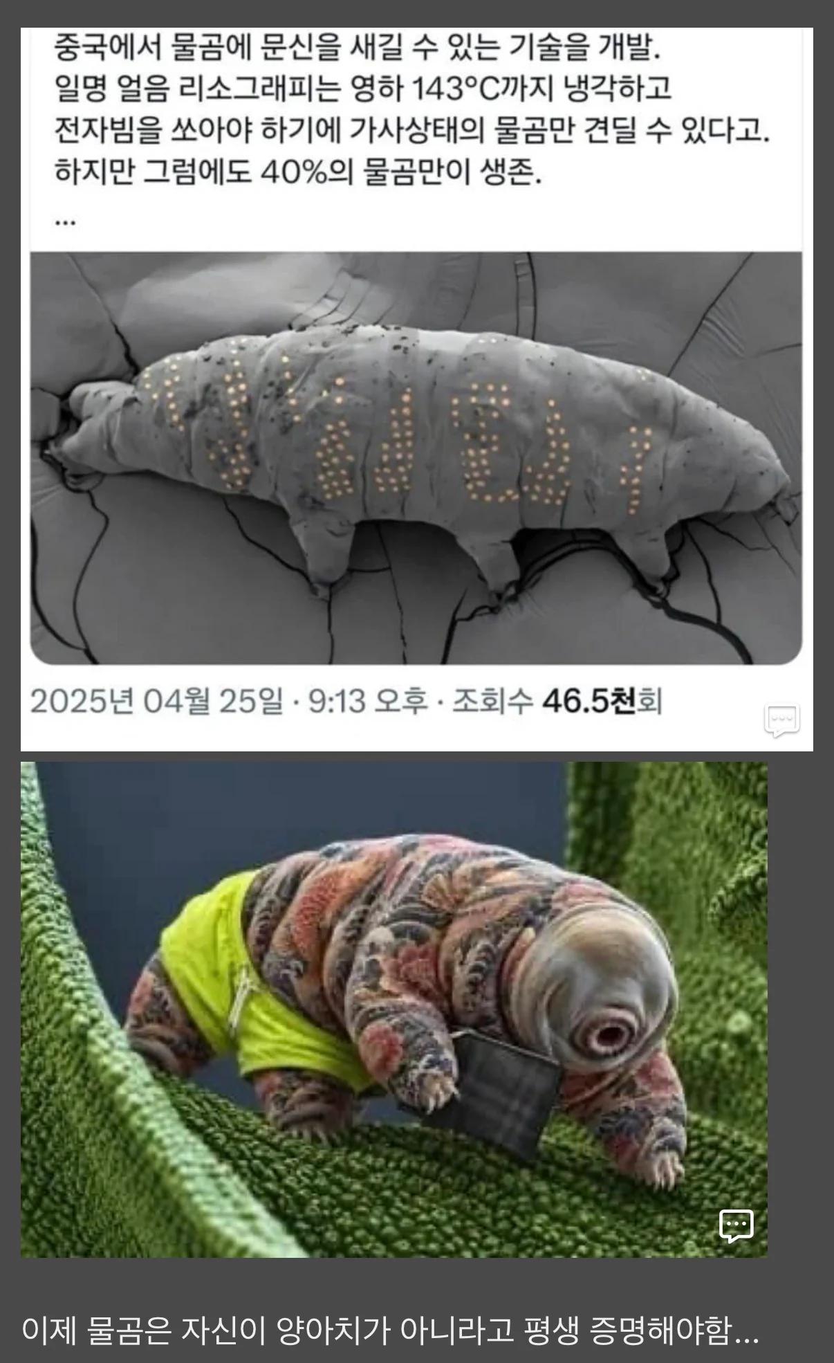 물곰도 이제 문신할 수 있음