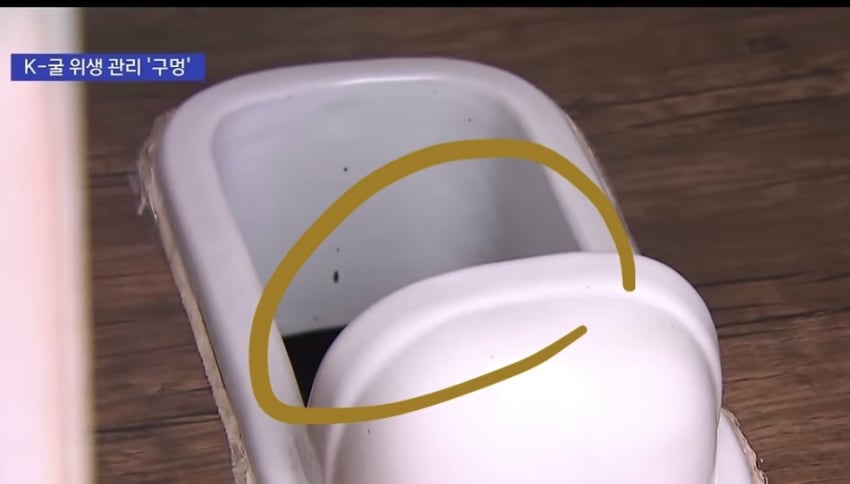 현재 논란이라는 경상남도 굴 상태 (13)