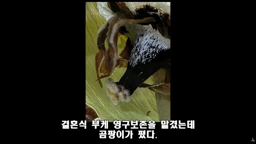 법대로 하시던가 의 결말 (2)