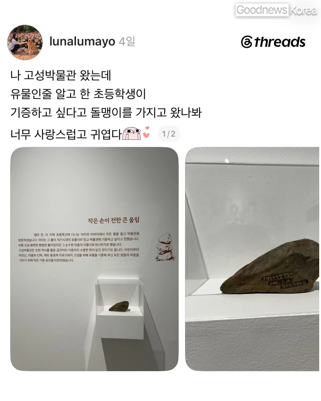 박물관에 돌 기증한 순수한 초등학생