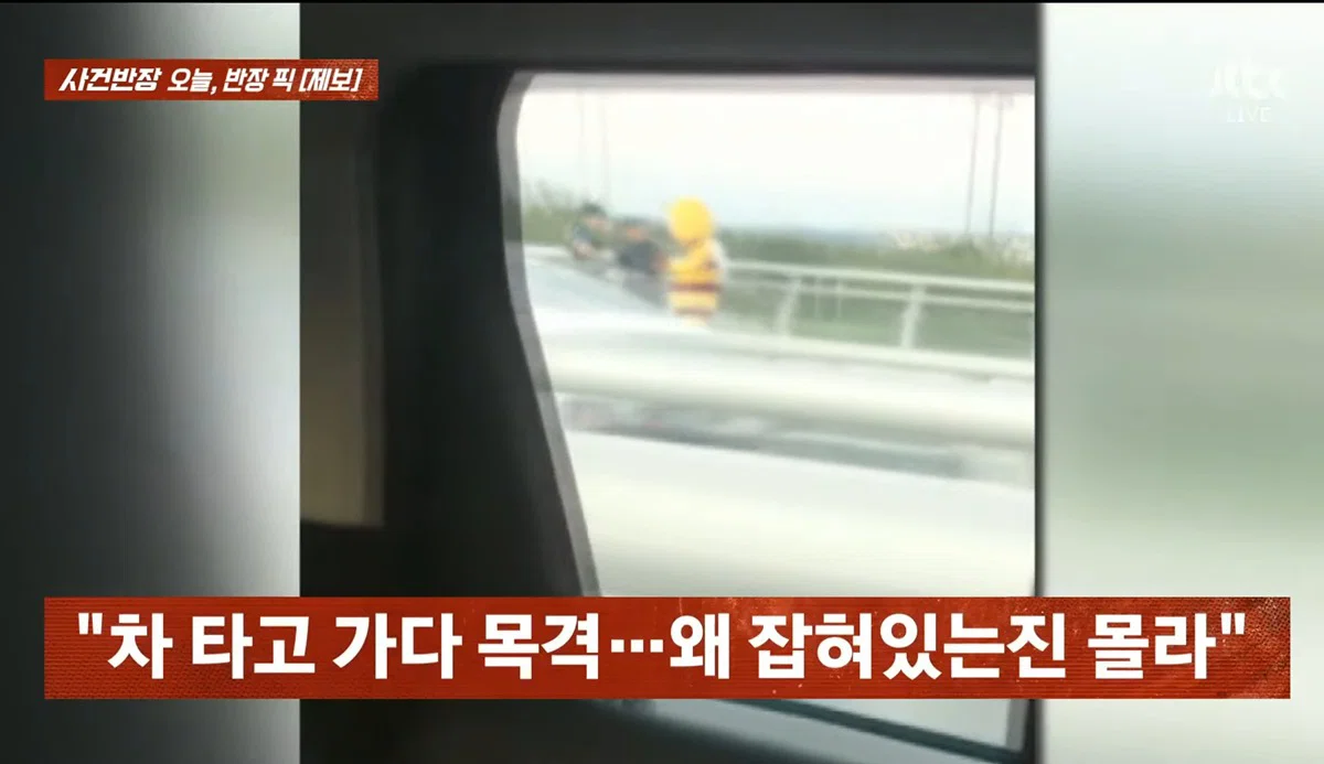 사건반장에 나온 꿀벌 복장 입는 이유 (2)