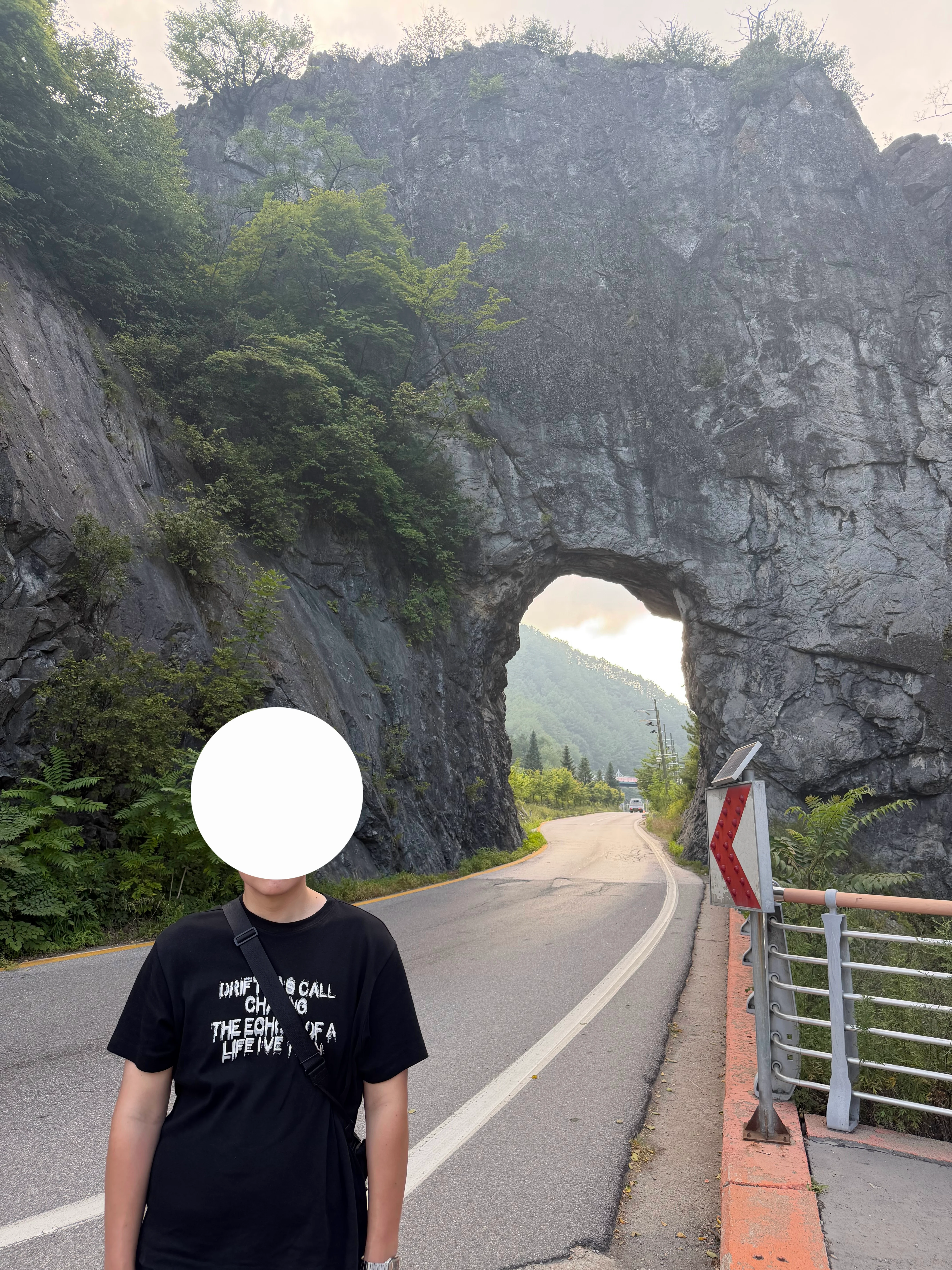 고도비만은 그냥 위고비 마운자로 맞아라 (2)