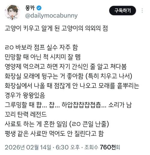 고양이 키우고 알게 된 고양이의 의외의 점