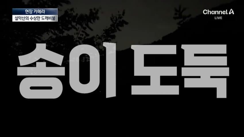 채널a) 송이버섯 1kg에 160만원...밤낮 추격전 (5)