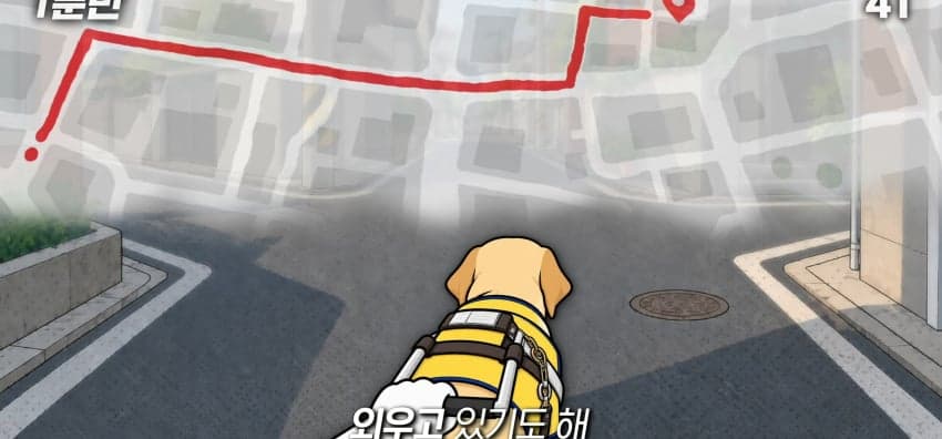 안내견은 목적지를 어떻게 아는 걸까? (12)