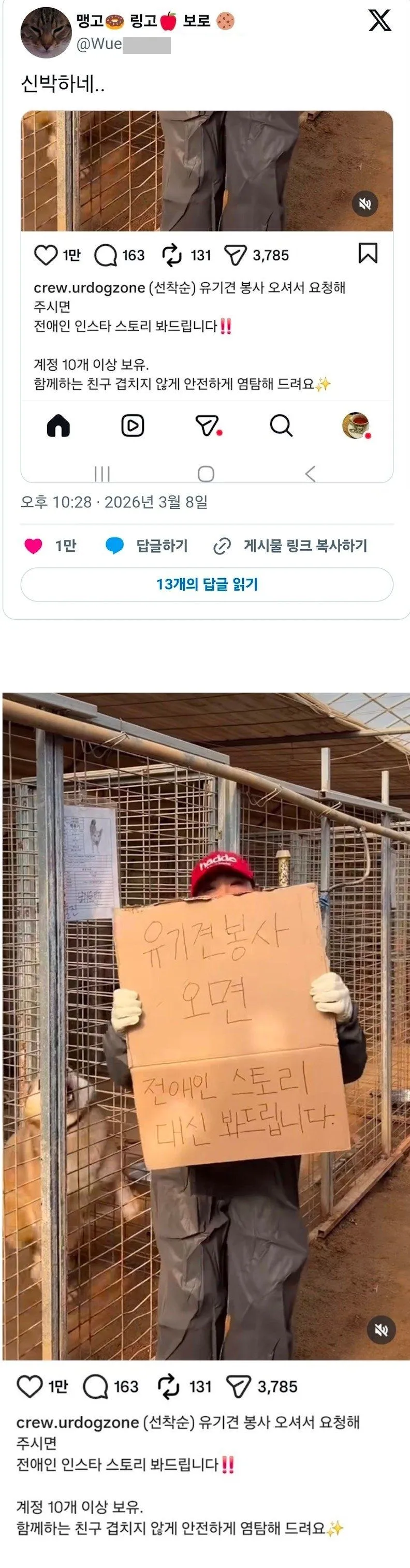 X] 유기견 봉사 오면 전애인 스토리 대신 봐드립니다.twit
