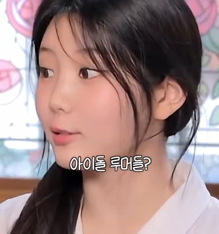 사실 루머공장이라는 나무위키 (2)