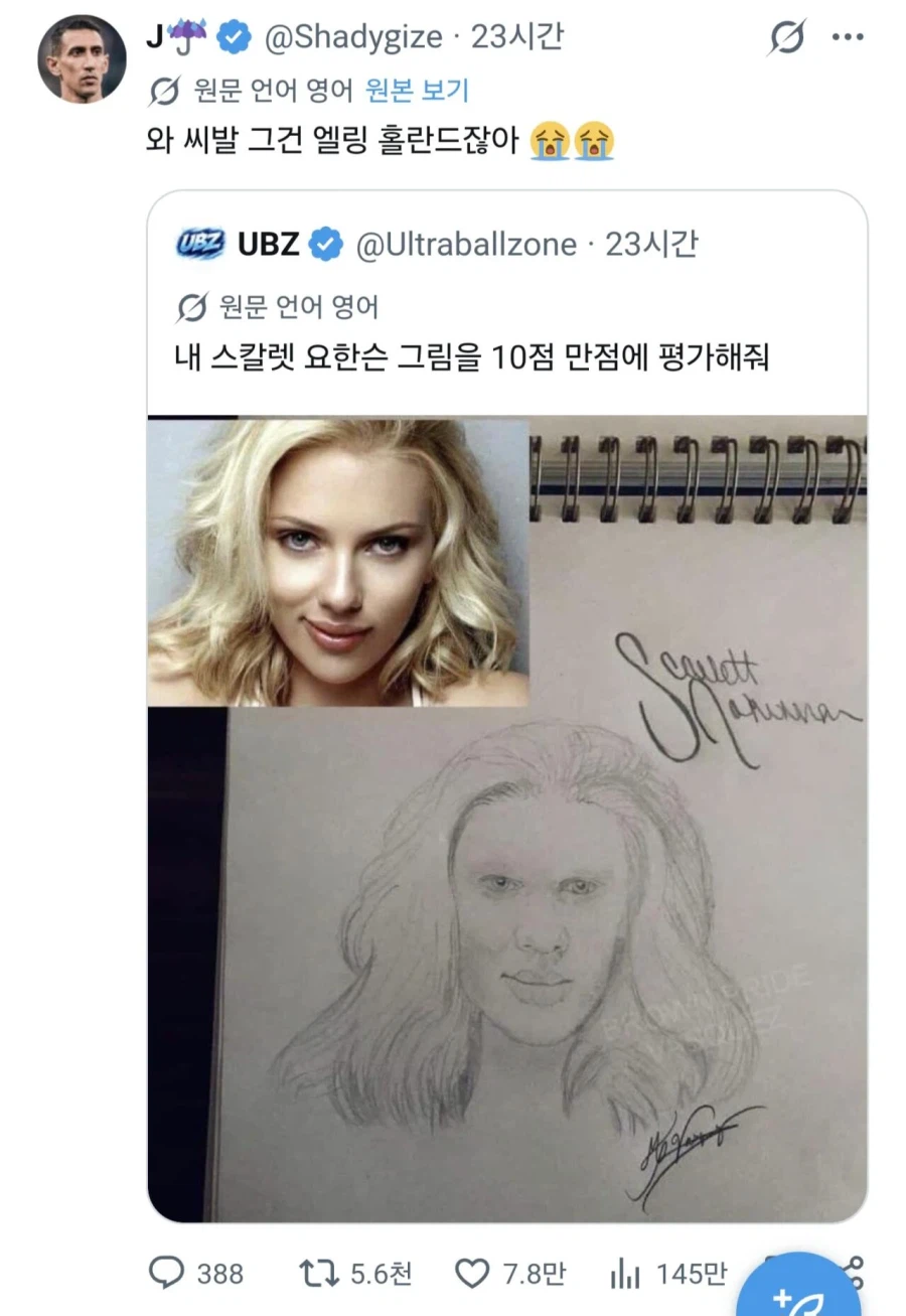 "내 스칼렛 요한슨 그림을 10점 만점에 평가해줘." (2)