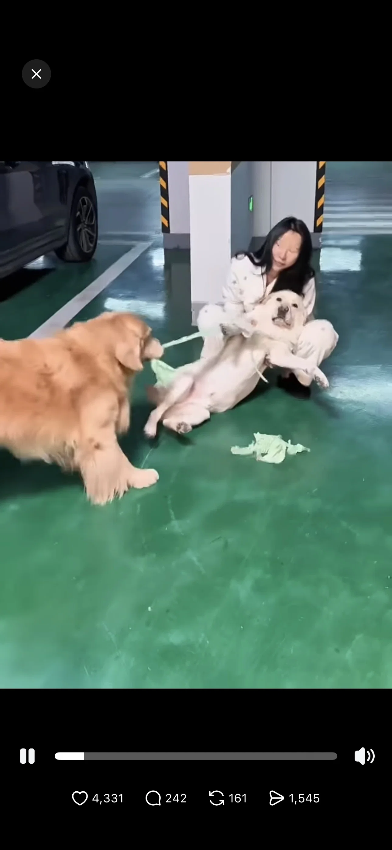 아 이거 진짜 ㅈㄴ 웃기다 골댕이 옷 친구 댕댕이한케 물려줬는데 산책하다 마주쳤대