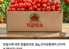 대추 방울 토마토 2kg 소과