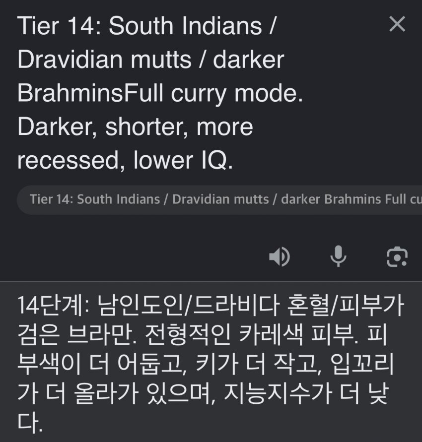 서양 커뮤에서 만든 인종 순위 20단계 (17)