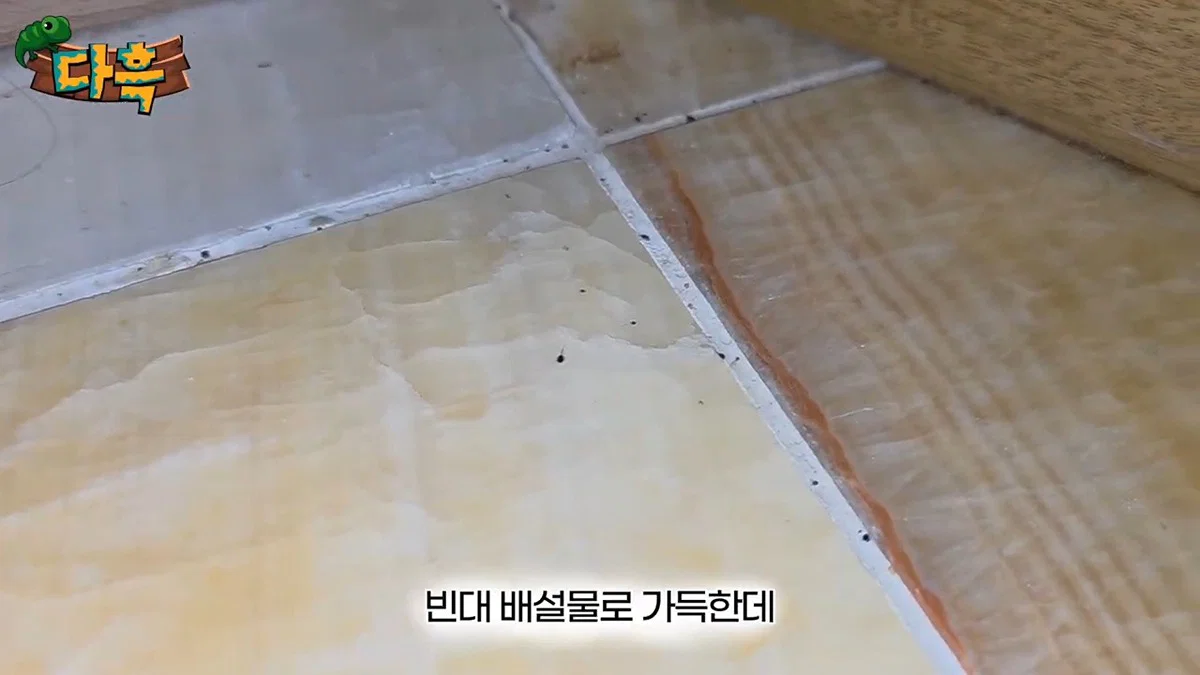 부산 찜질방 빈대 이슈 업로드한 유튜버 다흑... (22)