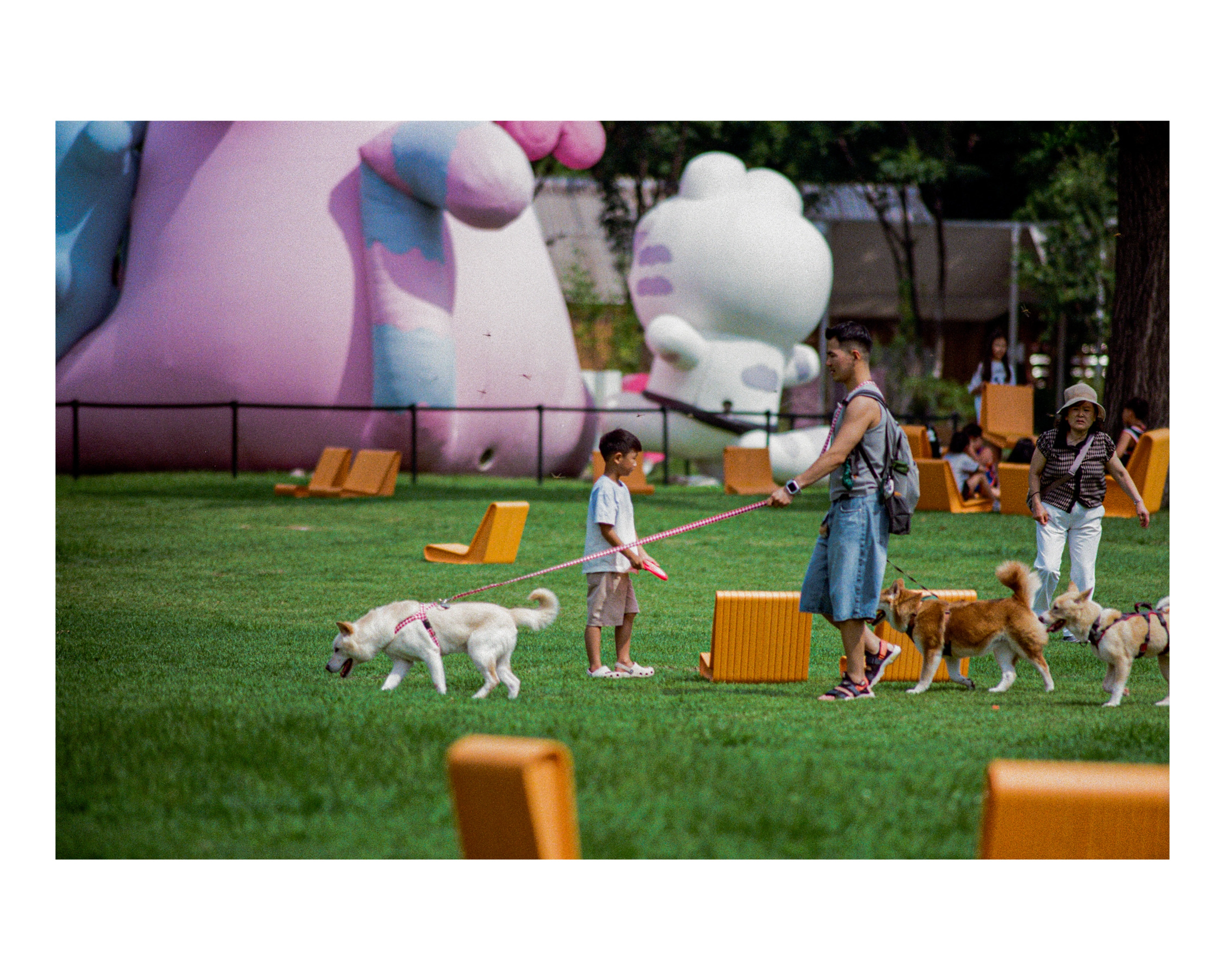 서울 국제 정원 박람회 (webp 38 pics) (27)