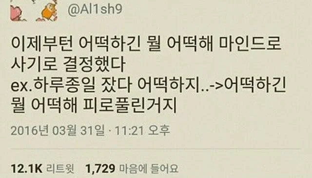 미용실 보냈는데 푸들이 실종되고 아기양으로 돌아왔습니다 (17)