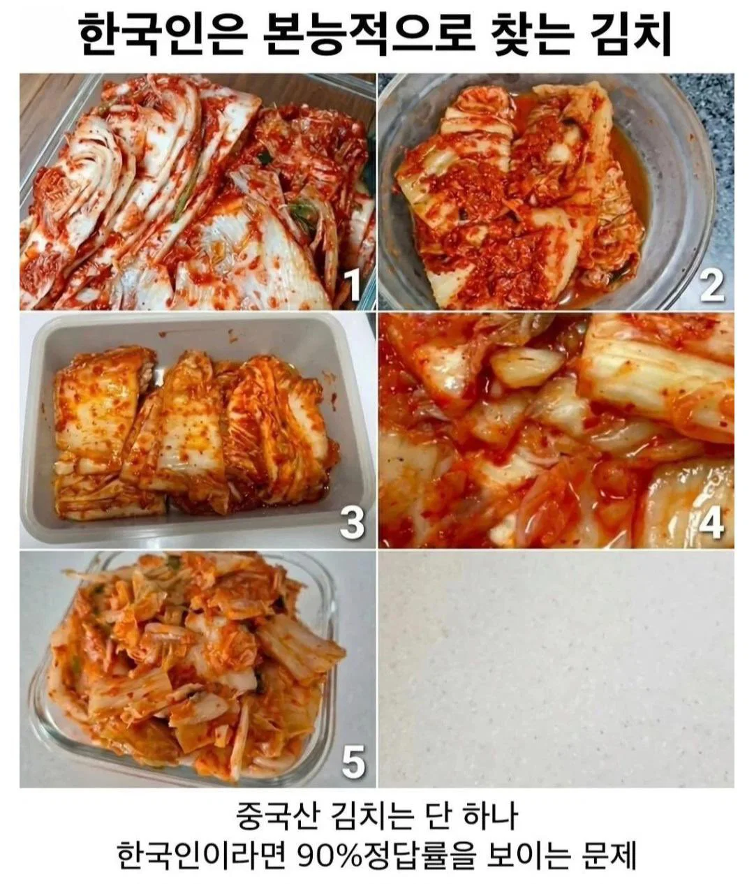 한국인은 본능적으로 찾는 김치