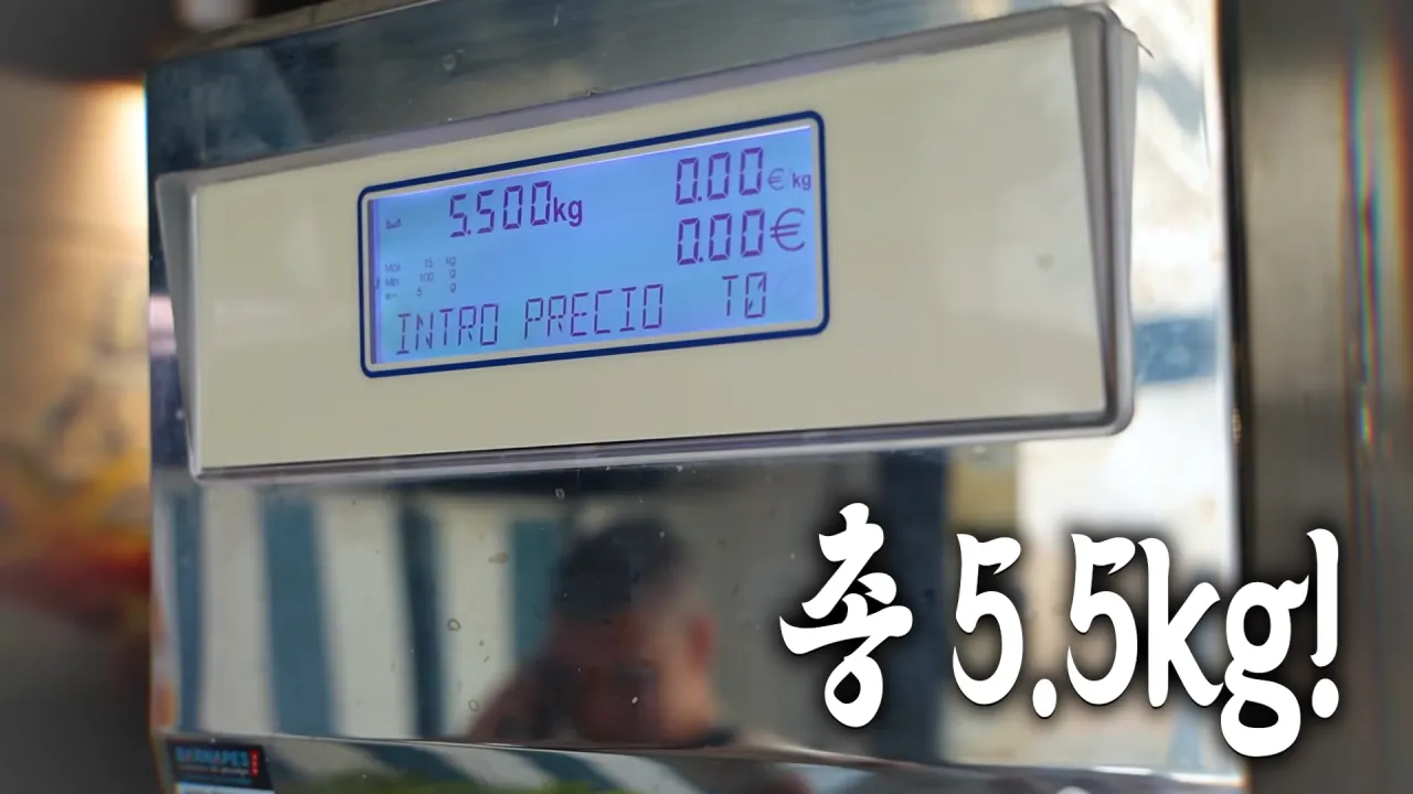 스페인 해산물 5.5kg 배터지게 먹방한 쯔양 ㄷㄷㄷ (2)