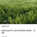 [롯데온]KTX 고창 부안 청보리밭 당일치기 기차여행 (97,000원/무료)