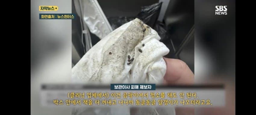 보관이사 맡겼다가 곰팡이, 벌레로 가구 다 망가진 제보자 (7)