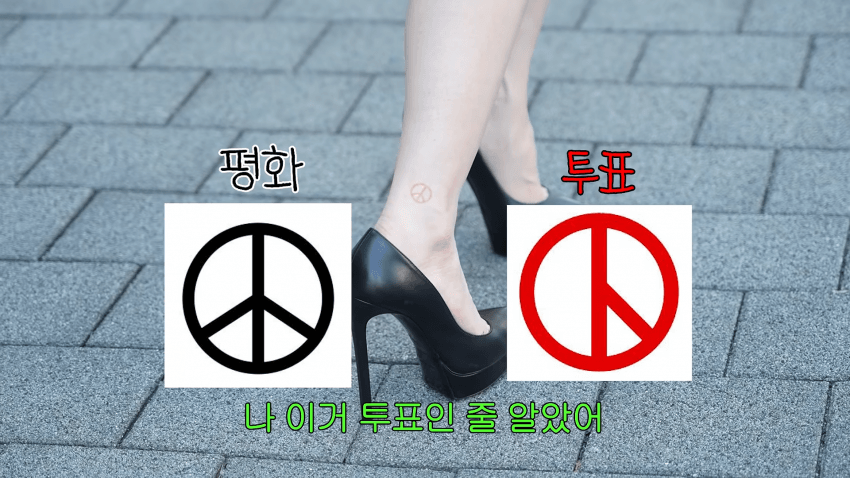 서인영 눈나가 '발'로 투표하게 된 이유 (6)