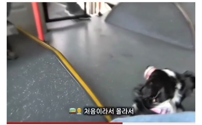 청각장애인 보조견 탑승을 거부한 버스기사님 (8)