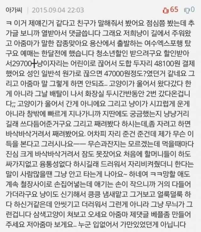 개드립 간 KTX 입석 빌런 만화 원글.. (3)