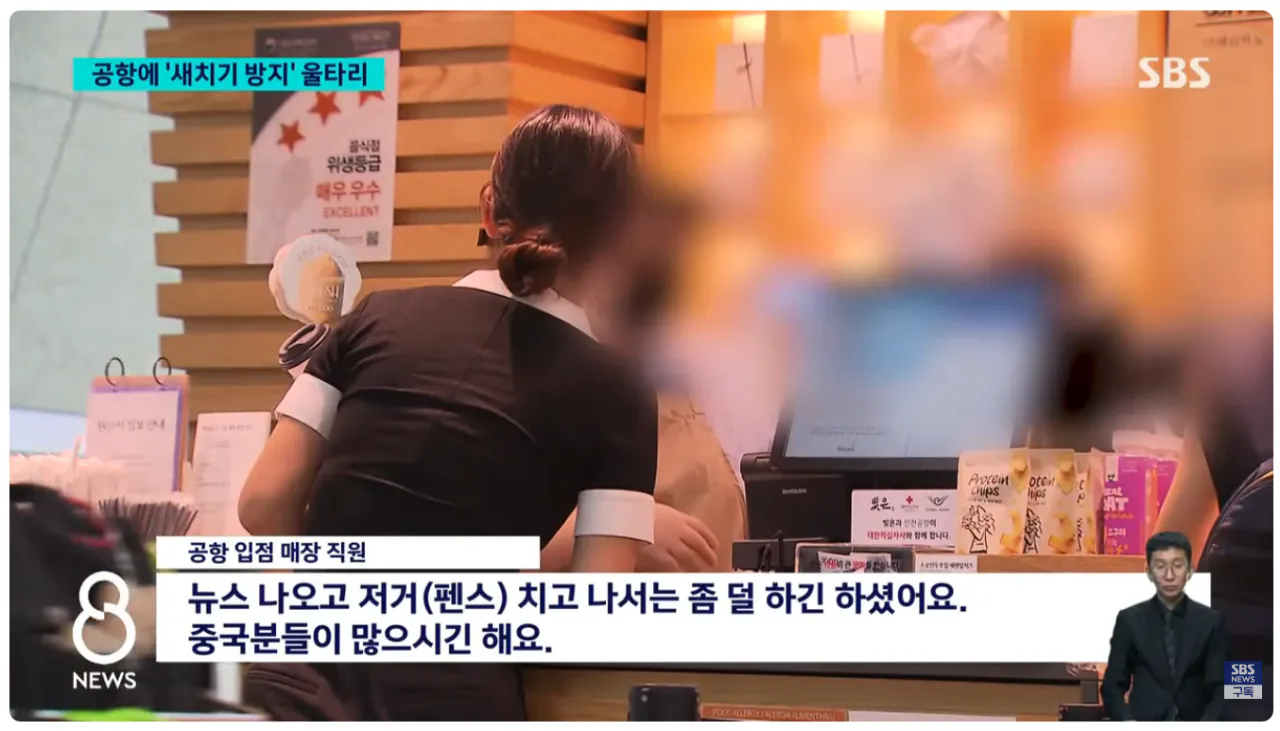 image.png [SBS] 인천공항에 '새치기 방지' 울타리 설치 이후 근황